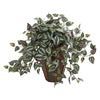 Nearly Natural 8167 20" Artificial Green Wandering Jew Plant in Decorative Plantert