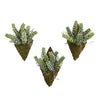 Nearly Natural 8330-S3 8" Artificial Green Sedum Succulent Wall Decor Plant, (Set of 3)