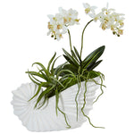 Nearly Natural 1481 Succulent & Mini Phalaenopsis in Shell Ceramic