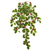 Nearly Natural 6188-S3 27" Artificial Green Variegated Holly Leaf with Berries Hanging Bush Plant, Set of 3
