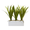 Nearly Natural 6914 16" Artificial Green Grass in Rectangular Planter