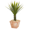 Nearly Natural 8077 21" Artificial Green Spiky Agave Plant in Terracotta Planter