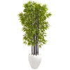 Nearly Natural 9723 5' Artificial Green Bamboo Tree with Black Trunks in White Planter, UV Resistant (Indoor/Outdoo