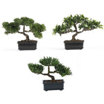 Nearly Natural 12`` Bonsai Silk Plant Collection (Set of 3)