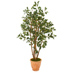 Nearly Natural T1103 53" Artificial Green Ficus Tree in Terra-Cotta Planter