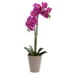 Nearly Natural 4246 24" Artificial Pink Speckled Phalaenopsis Orchid Arrangement with Planter