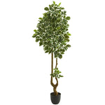 Nearly Natural 5560 6.5' Artificial Green Variegated Aralia Tree