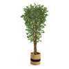 Nearly Natural T2973 70`` Variegated Ficus Artificial Tree in Natural Cotton Planters