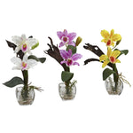 Nearly Natural 1321-S3 14.5" Artificial Mini Cattleya Orchid Arrangement in Glass Vase, Multicolor, Set of 3