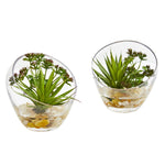 Nearly Natural 8152-S2 6" Artificial Green Spiky Succulent Plant in Slanted Glass, Set of 2