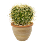 Nearly Natural 8784 10" Artificial Green Cactus Plant in Decorative Ceramic Planter