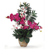 Nearly Natural Double Phal/Dendrobium Silk Flower Arrangement