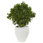 Nearly Natural 9468 32" Artificial Green Peperomia Plant in White Planter, UV Resistant (Indoor/Outdoor)