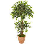 Nearly Natural 9390 53" Artificial Green Variegated Ficus Tree in Terra Cotta Planter