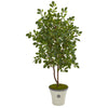 Nearly Natural 9996 53" Artificial Green Oak Tree in Decorative Planter