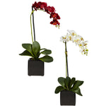 Nearly Natural Phaleanopsis Orchid w/Black Vase Silk Arrangement (Set of 2)