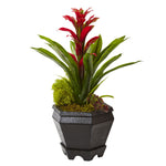 Nearly Natural Bromeliad in Black Hexagon Planter