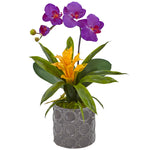 Nearly Natural Mini Phalaenopsis Orchid and Bromeliad in Gray Vase