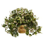 Nearly Natural 6921 19" Artificial Green Hoya in Wooden Pot