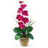 Nearly Natural Single Stem Phalaenopsis Silk Orchid Arrangement