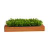 Nearly Natural P1655 20” Sweet Grass Artificial Plant in Decorative Planters