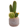 Nearly Natural 8670 19" Artificial Green Cactus Plant in Decorative Planter