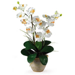 Nearly Natural Double Stem Phalaenopsis Silk Orchid Arrangement