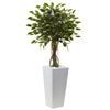 Nearly Natural 5952 Artificial Green Ficus Tree with White Planter, UV Resistant (Indoor/Outdoor)