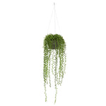 Nearly Natural 4247 Artificial Green String of Pearl Plant in Hanging Basket