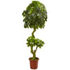 Nearly Natural 5500 6' Artificial Green Schefflera Tree, UV Resistant (Indoor/Outdoor)