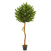 Nearly Natural 9133 5.5' Artificial Green Olive Topiary Tree in Pot, UV Resistant (Indoor/Outdoor)