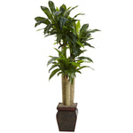 Nearly Natural 6670 4.5' Artificial Green Real Touch Cornstalk Draceana with Decorative Vase 