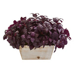 Nearly Natural P1265 17" Artificial Purple Basil Plant in White Wash Planter