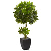 Nearly Natural 5762 5.5' Artificial Green Schefflera Tree in Black Wash Planter, UV Resistant (Indoor/Outdoor)