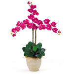 Nearly Natural Triple Stem Phalaenopsis Silk Orchid Arrangement