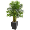 Nearly Natural 5673 Artificial Green Kentia Palm Tree in Black Planter