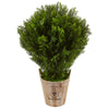 Nearly Natural 6991 3' Artificial Green Cedar in Barrel Planter (Indoor/Outdoor)