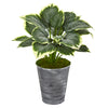 Nearly Natural P1054 24" Artificial Green Variegated Hosta Plant in Tin Planter