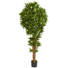 Nearly Natural 5579 6' Artificial Green Dracaena Tree