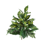 Nearly Natural 6038-S2 25" Artificial Mixed Greens Plant, Set of 2