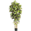 Nearly Natural 6` Croton Silk Tree