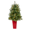 Nearly Natural 44'' Snowed Grand Teton Fir Artificial Christmas Tree