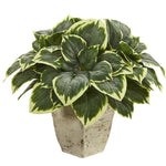 Nearly Natural 8969 26" Artificial Green Variegated Hosta Plant in Country White Planter