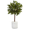 Nearly Natural 5980 2' Artificial Green Sweet Bay Tree in White Glossy Cylinder