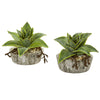 Nearly Natural 8514-S2 6" Artificial Green Dusty Succulent Plant in Weathered Vase, Set of 2