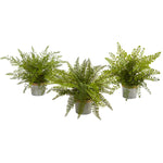 Nearly Natural 4222-S3 14" Artificial Green Assorted Ferns Plant with Planter, Set of 3