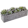 Nearly Natural 4544 5.5" Artificial Green & White Succulent Garden with Textured Concrete Planter