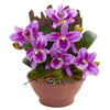 Nearly Natural Cattleya Orchid Artificial Arrangement in Clay Vase