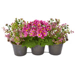 Nearly Natural 1892 8.5" Artificial Green & Pink Triple Potted Daisy & Eucalyptus Arrangement in Metal Planter