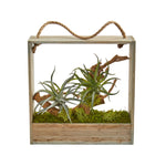 Nearly Natural 8368 12" Artificial Green Air Plant Succulent in Decorative Hanging Frame